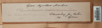 Lachnum sulphureum image